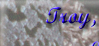 Photos and Background about Troy