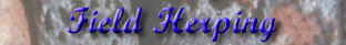Photos & Stories about Field Herping